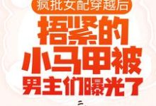 小说《疯批女配穿越后,捂紧的小马甲被男主们曝光了》在线章节阅读-贝壳文学