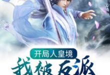 完结版《开局人皇境，我被反派养成神》章节目录在线阅读-贝壳文学