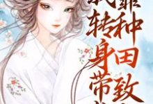 穿成寡妇？我转身带崽靠种田致富赵婉馨小说免费阅读-贝壳文学