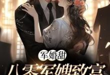 陆宴寻姜枣的小说在哪里看？免费在线阅读军婚甜：八零军嫂致富撩夫两不误-贝壳文学