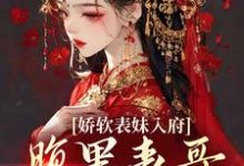 免费看娇软表妹入府：腹黑表哥沦陷了小说的网站有哪些？-贝壳文学