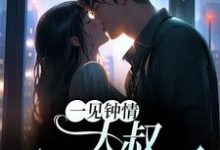 在线寻找一见钟情：大叔，别纠缠我小说的无删减版本-贝壳文学