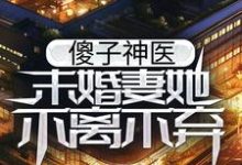 傻子神医：未婚妻她不离不弃这本小说在哪里可以看？哪里有免费试读章节？-贝壳文学