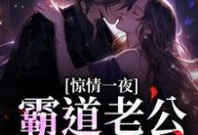 惊情一夜:霸道老公的逃妻最新章节,惊情一夜:霸道老公的逃妻免费阅读-贝壳文学