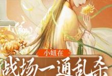 小妞在战场一通乱杀,只为混口饭?小说的所有章节都能在哪里免费读到?-贝壳文学