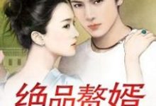 绝品赘婿小说,绝品赘婿章节在线阅读-贝壳文学