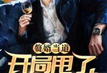 小说《赘婿当道：开局甩了女神娇妻》在线章节阅读-贝壳文学