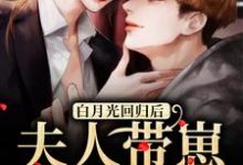 温曦厉廷玺小说在线章节免费阅读（白月光回归后，夫人带崽要离婚无弹窗无删减）-贝壳文学