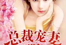免费在线阅读总裁夜欢无限爱小说的正规网站有哪些？-贝壳文学