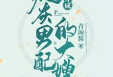 想读俞小宛陶三郎陶四郎的故事，哪里可以免费找到穿成炮灰男配的大嫂？-贝壳文学