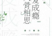 唐玥季向晨汪烨秦璐为主角的小说好看吗?求入骨相思爱成瘾免费试读-贝壳文学