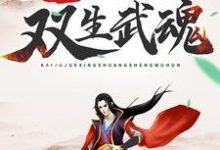 玄幻：开局觉醒双生武魂最新章节，玄幻：开局觉醒双生武魂章节在线阅读-贝壳文学
