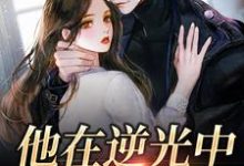 他在逆光中告白免费阅读，他在逆光中告白苏韵祁征-贝壳文学