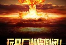 玩具厂濒临倒闭!换军工芯起死回生陆枫小说在线章节免费阅读-贝壳文学