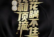 隐婚：我和顶流校花瞒不住了小说的无弹窗阅读体验，寻找免费阅读网站-贝壳文学
