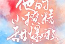 寻找能够免费阅读他的小撩精甜爆啦小说的平台-贝壳文学
