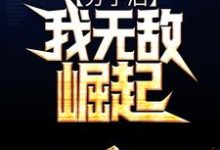 分手后,我无敌崛起叶枫苏穆青,分手后,我无敌崛起章节在线阅读-贝壳文学
