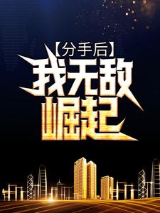 分手后，我无敌崛起叶枫苏穆青，分手后，我无敌崛起章节在线阅读