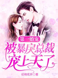 《第一婚宠：被暴戾总裁宠上天了》小说章节列表免费试读，李时笙沈弋宸小说在线阅读