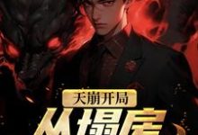 求夏至小说免费资源-贝壳文学