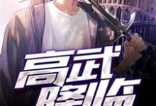 高武降临免费阅读，高武降临林枫李月婵-贝壳文学