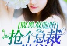 在线寻找 程海安陆一琛的小说，腹黑双胞胎：抢个总裁做爹地免费阅读-贝壳文学
