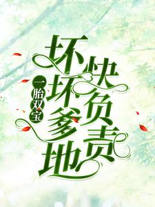 求一胎双宝：坏坏爹地快负责小说免费资源
