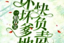 南宫丞沈茉染的完整故事在哪里？读一胎双宝：坏坏爹地快负责小说-贝壳文学