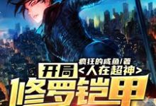 人在超神：开局修罗铠甲穿梭万界林昊天使冷小说免费阅读-贝壳文学