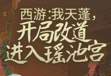 西游:我天蓬,开局改道进入瑶池宫主角杜晨天蓬元帅小说完结版章节在线阅读-贝壳文学