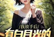 江辰小说在哪里可以看-贝壳文学