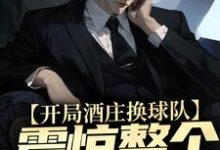 小说《开局酒庄换球队,震惊整个NBA》在线章节阅读-贝壳文学