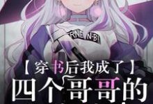 穿书后我成了四个哥哥的团宠妹妹这本小说怎么样？免费在线阅读试试-贝壳文学