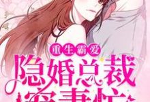 完结版《重生霸爱：隐婚总裁宠妻忙》章节阅读-贝壳文学