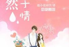 漓然止于情小说的免费阅读版本在哪里可以找到？-贝壳文学