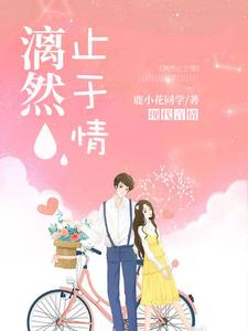 漓然止于情小说的免费阅读版本在哪里可以找到？
