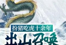 主人公叫 嬴子夜白影的小说扮猪吃虎十余年,出山召唤千万龙骑在线阅读章节-贝壳文学