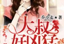 男女主人公叫乔小麦许厉璟的小说免费资源-贝壳文学