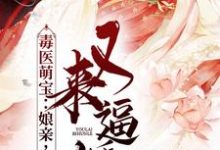 已完结小说《毒医萌宝：娘亲，父皇又来逼婚了》章节在线阅读-贝壳文学