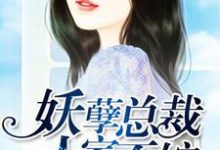 妖孽总裁，人家不嫁小说全文阅读需要付费吗？寻找免费资源-贝壳文学