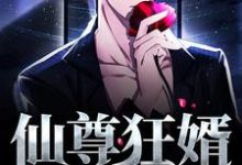 小说《仙尊狂婿》章节免费阅读-贝壳文学