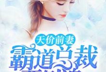 小说《天价前妻：霸道总裁要倒追》章节免费阅读-贝壳文学