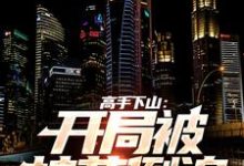 叶无道小说《高手下山：开局被校花倒追》在线阅读-贝壳文学