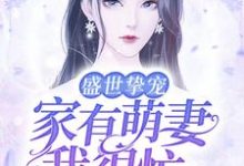 沈颜颜唐琛为主角的小说好看吗？免费读盛世挚宠：家有萌妻我很忙-贝壳文学