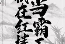 贾环薛宝钗小说叫什么（我在红楼当霸王免费阅读）-贝壳文学