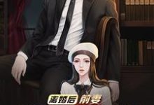 林天万子欣小说叫什么（离婚后，前妻跪求我复婚免费阅读）-贝壳文学