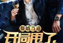 叶辰杨紫曦的小说在哪里看？免费在线阅读赘婿当道：开局甩了女神娇妻-贝壳文学