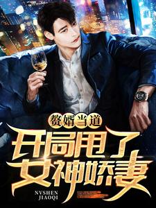 叶辰杨紫曦的小说在哪里看？免费在线阅读赘婿当道：开局甩了女神娇妻