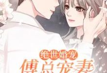 绝世婚宠：傅总宠妻超甜章节免费在线阅读，景清欢傅亦寒完结版-贝壳文学