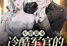 主角姜月陆煜小说完结版在线阅读，军婚甜宠：冷酷军官的全能娇妻免费看-贝壳文学
